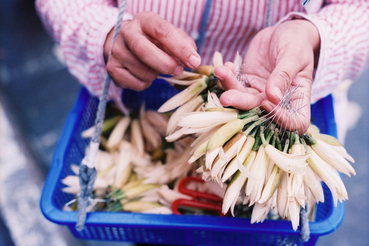 [問題] 玉蘭花阿婆沒法管？