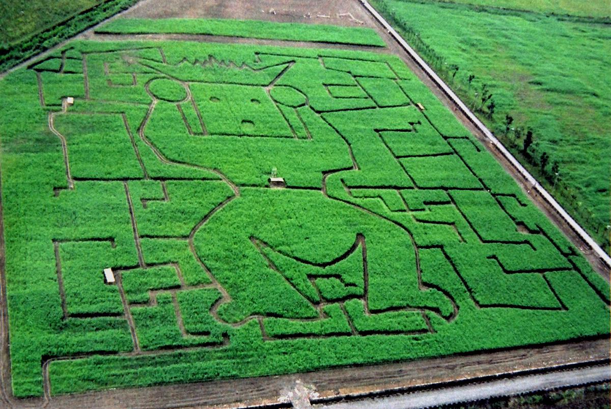 [問卦] 原來國民政府曾經洗劫台灣人民的財產？