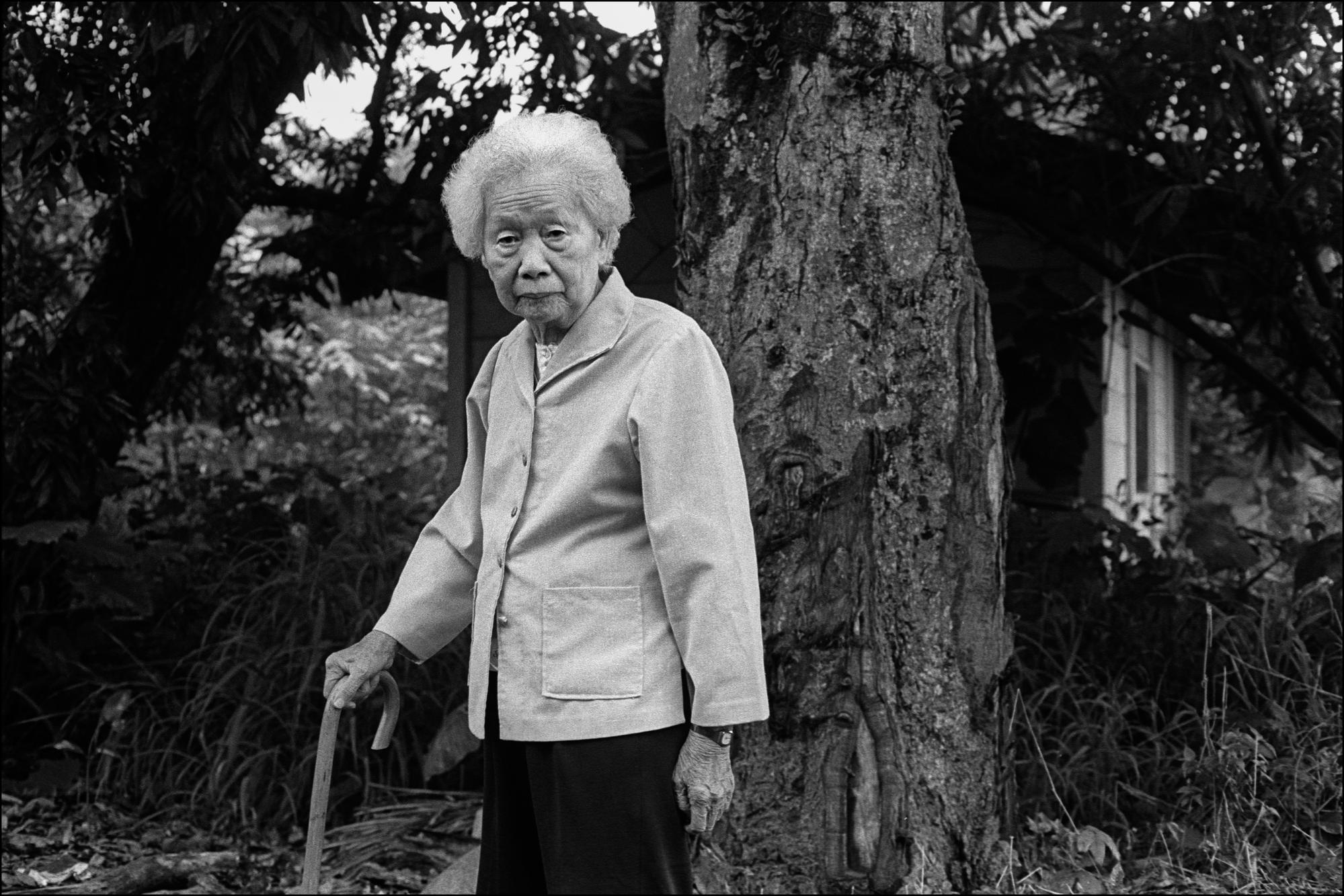 肖像/蔡應菜