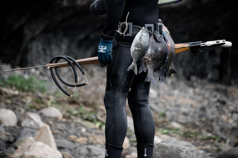 魚槍。自由潛水漁獵人士潛水一趟約3小時的漁獲