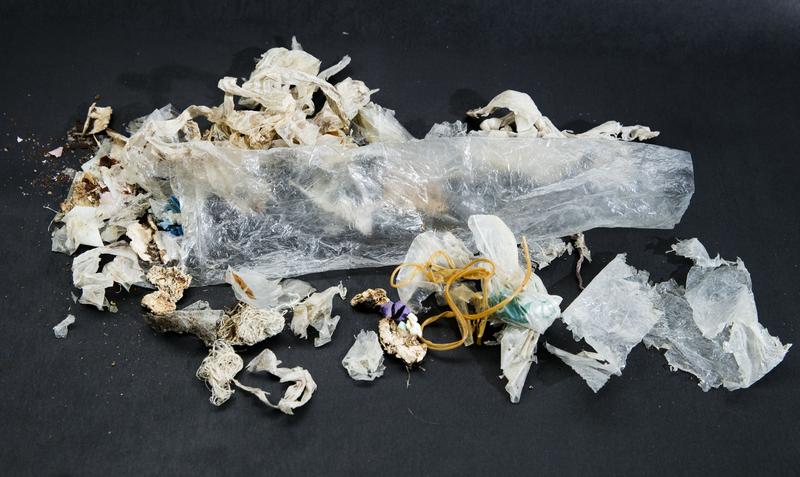 失控的海洋廢棄物──塑膠砌成的海龜墳場。（攝影／林佑恩）