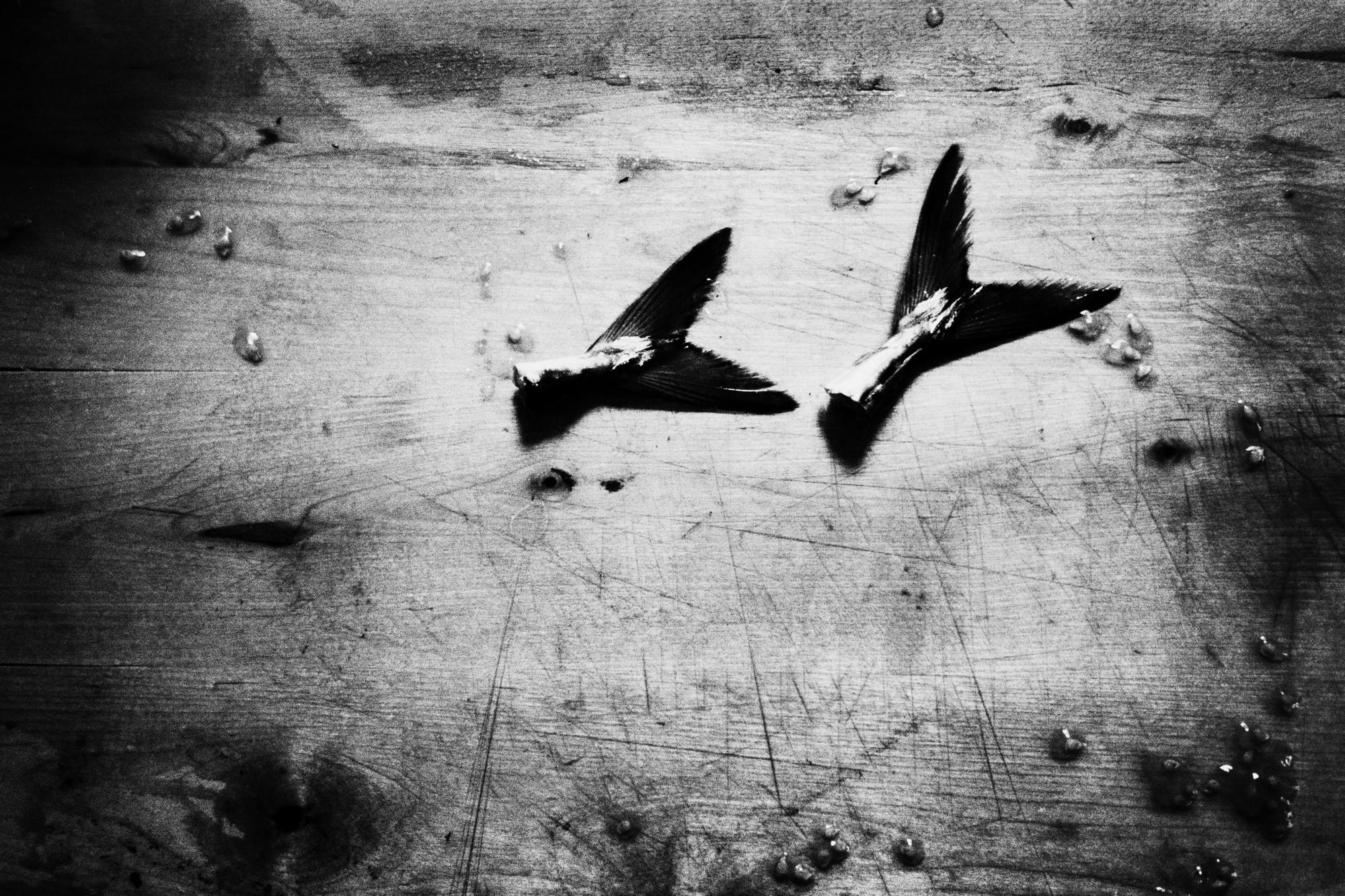 © Clara Chichin_Under the eyes that few minutes exhaust_5