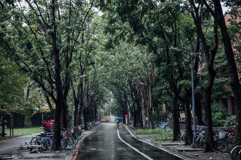 在路上、宋欣穎、幸福路上