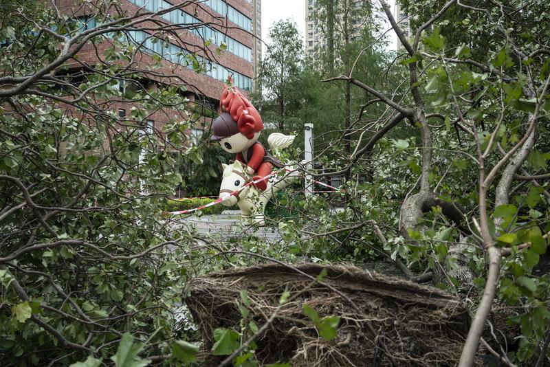 陳朗熹、山竹、港澳