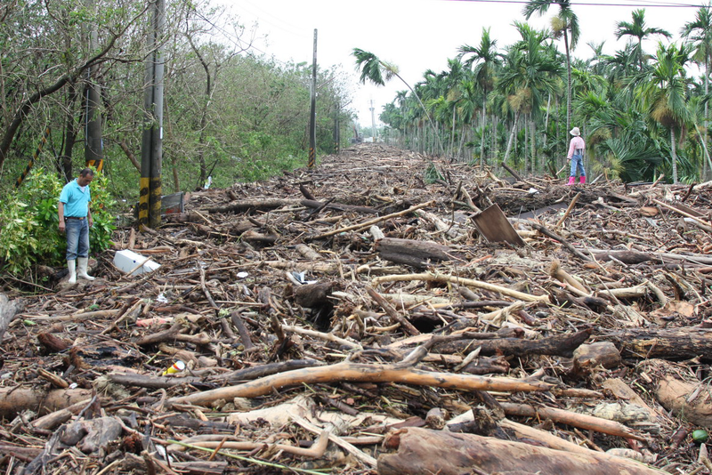 莫拉克風災過後，林邊溪潰堤，堤旁道路堆滿了飄流木，長達數公里。（攝影／傅志男）