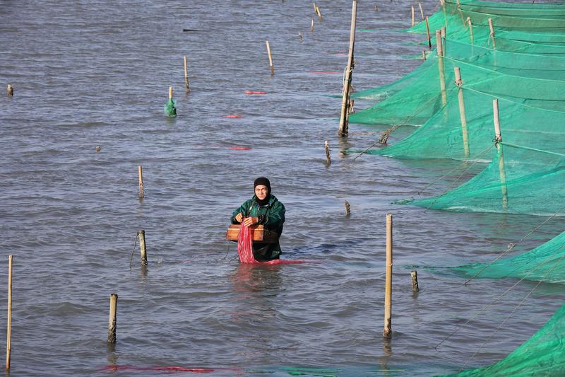 許震唐、後南風、濁水溪、在地傳真