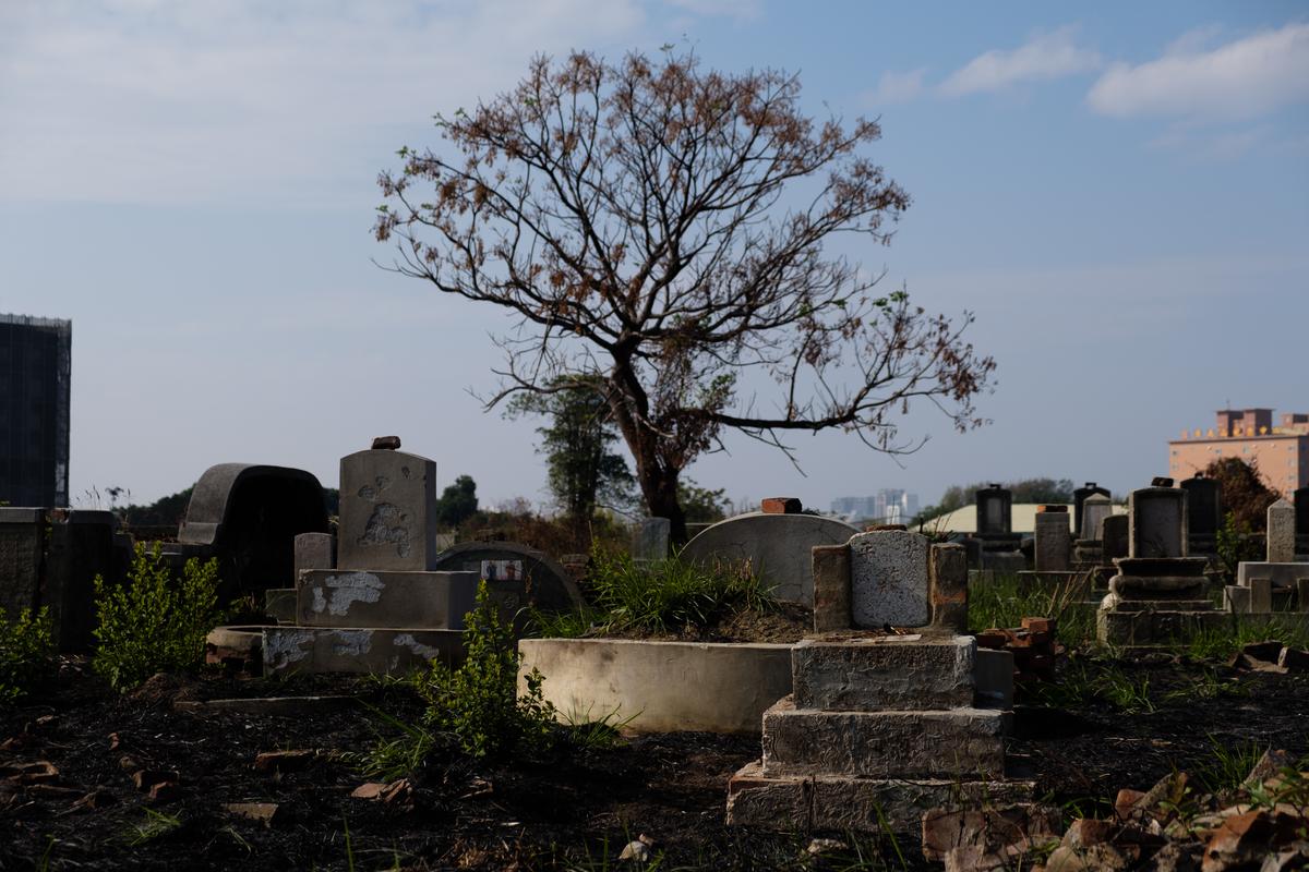 蘇峯楠 映照府城400年 南山公墓如何與現代城市並存 報導者the Reporter