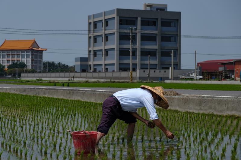 農民在興建中的工廠前耕作。（攝影／曾原信）