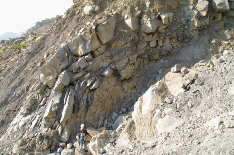 小林村東側獻肚山大規模崩塌所見之砂頁岩互層挫曲，以砂岩為主之沉積岩層長期受到重力作用，發生似屈膝跪坐狀。（圖片來源／引用自Catastrophic landslide induced by Typhoon Morakot, Shiaolin, Taiwan ,2011, Tsou, Feng, and  Chigira ,2011 Geomorphology 127,178-166)