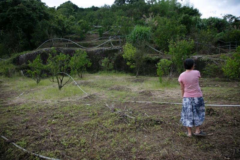 失依兒篇、921地震