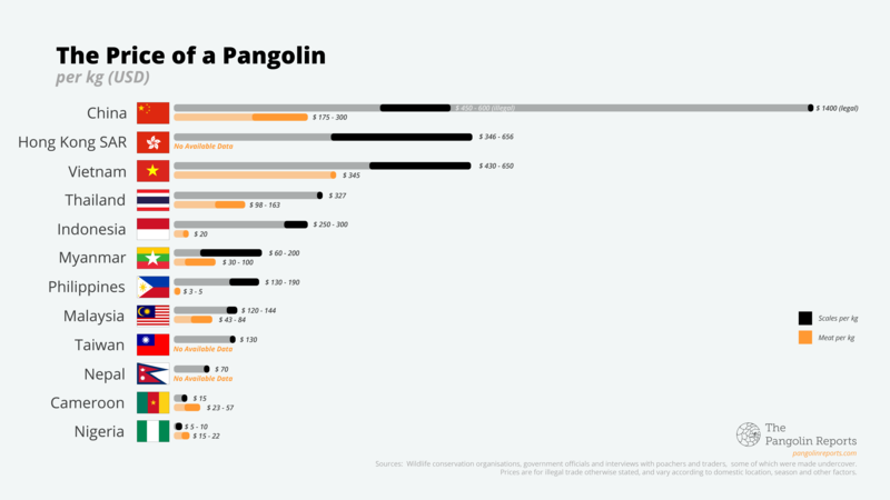 Pangolin prices in various countries. (Credit: The Global Environmental Reporting Collective)