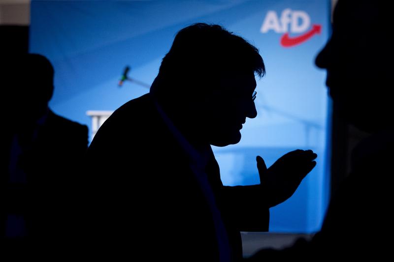 民主、AFD、仇恨話術、納粹、德國、AP Images、達志影像