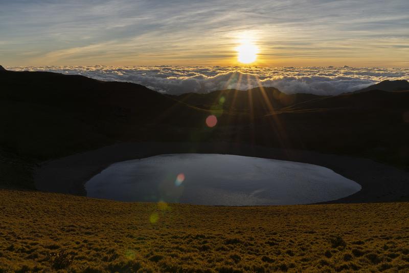 登山客、廚餘、山林、台灣黑熊、山屋、酒紅朱雀、膽固醇、嘉明湖