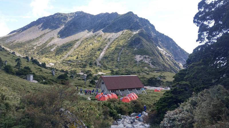 山林解禁、生態、山椒魚。（攝影/葉書妤）