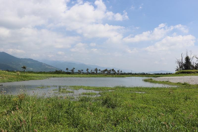 保持自然風貌的台東知本溼地也是重要的野鳥棲地。（攝影／林莉庭）