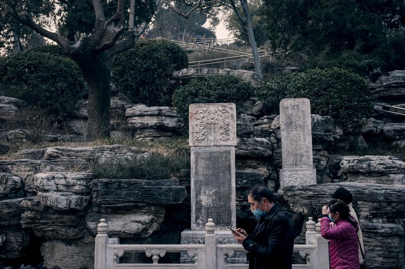 武漢肺炎、北京、復工、小草