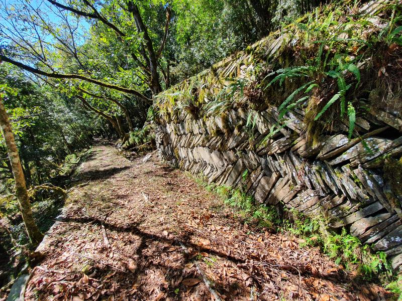 登山、八通關。（攝影/張元植）