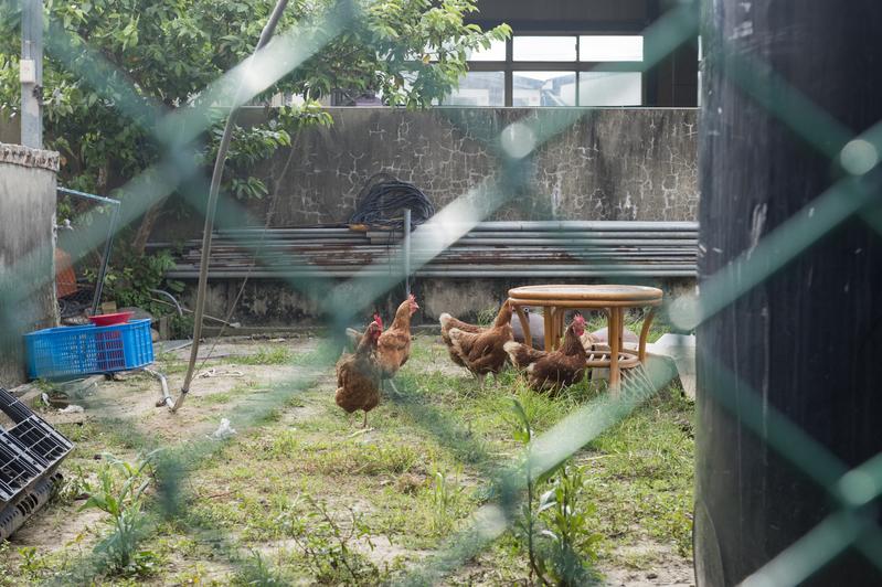 工輔法、修法週年、追蹤、違章工廠、拆除進度、未登工廠、申請納管