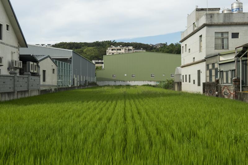 工輔法、修法週年、追蹤、違章工廠、拆除進度、未登工廠、申請納管