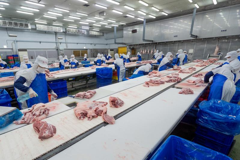 嘉一香工廠內的豬肉分切加工區。（攝影／許𦱀倩）