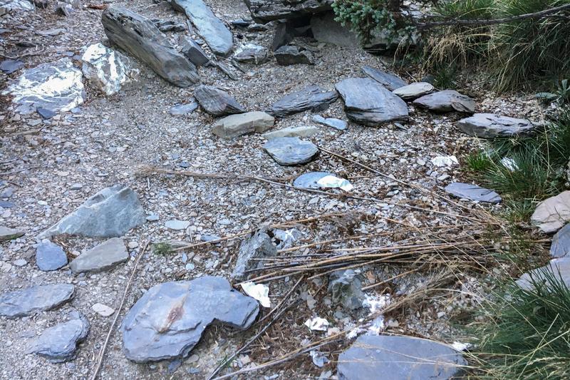 台灣高山步道沿途常可見四處散落登山客使用過的衛生紙。（攝影／林慧貞）