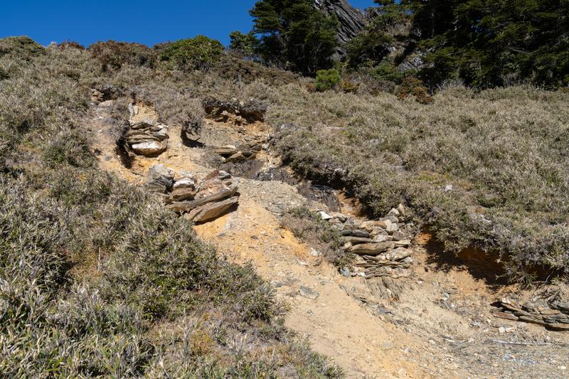 嘉明湖登山步道因登山客踩踏造成溝槽，降雨後形成沖蝕溝，近年林管處與台灣千里步道協會合作，號召山友每人背1公斤土方入山，再由千里步道志工協助復育步道，減緩嘉明湖沿線步道沖蝕的速度。（攝影／謝佩穎）