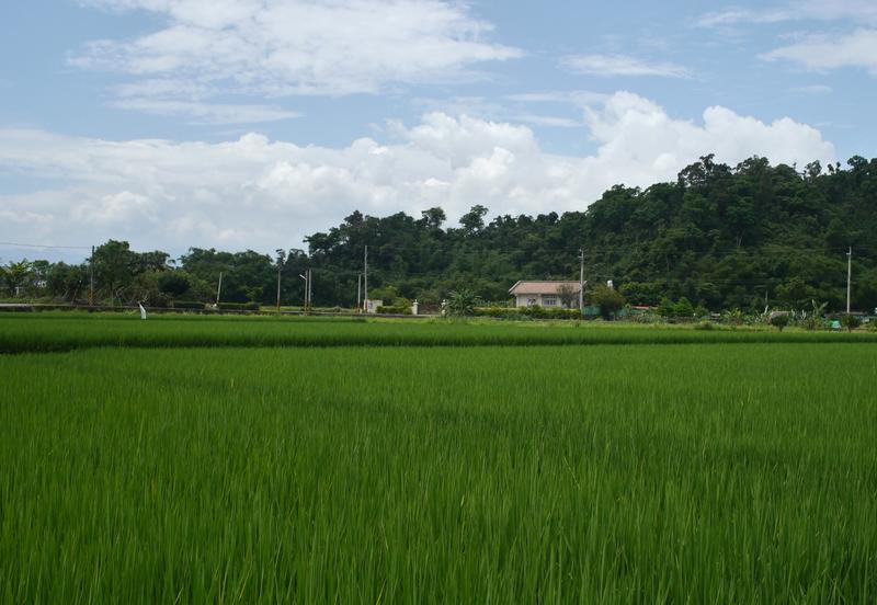 宜蘭農地。瞻計畫應導正產業用地管理，正視氣候變遷下的糧食安全