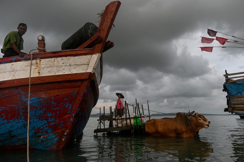 大部分皎漂居民以漁業為生，深水港巨大的工程帶來海水汙染，可能使他們的生計大受影響。圖為當地以牛車運送漁獲的漁民。（攝影／AFP／Ye Aung THU）