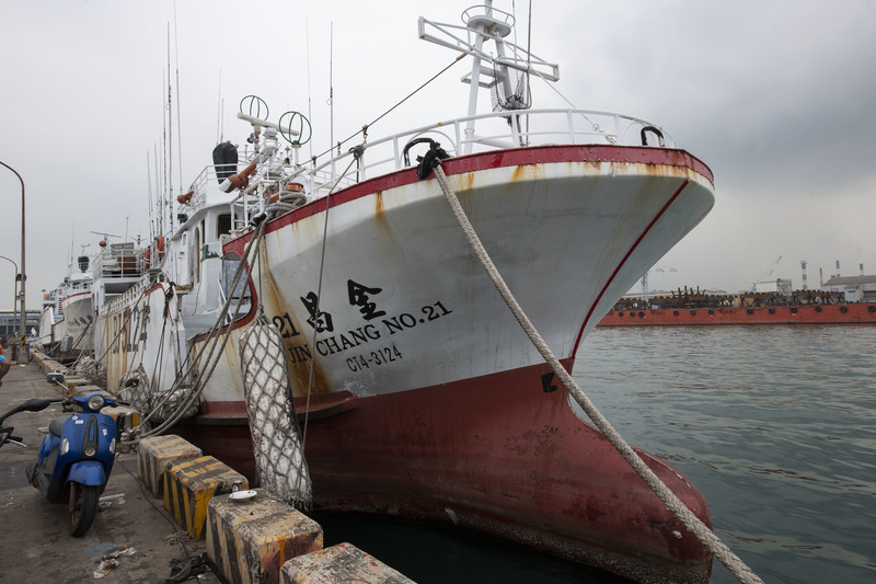 過去4年，3艘冠有「金昌」兩字的漁船因違規捕鯊被裁罰。圖為金昌21號。（攝影／楊子磊）