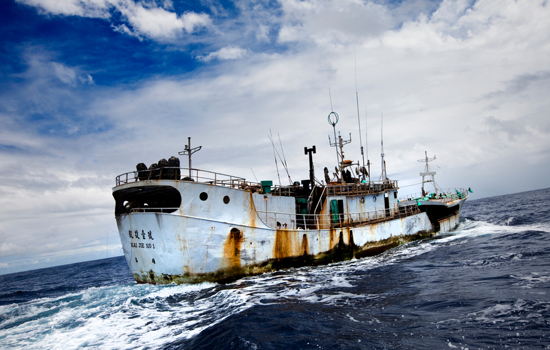 區域漁業組織都有對觀察員的涵蓋率等指標訂定標準。圖為一艘太平洋上的台灣籍小釣船，非文中指涉對象。（攝影／Paul Hilton／Greenpeace）