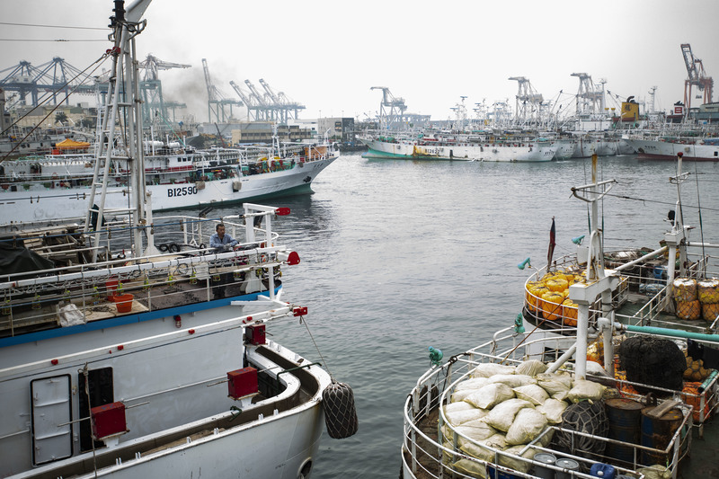 4年520筆違規處分──監管收緊後的台灣遠洋漁業，是否更健康了？