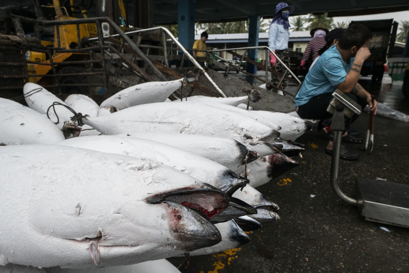 台灣漁獲遭美國視為「血汗海鮮」  業者與政府如何應對？