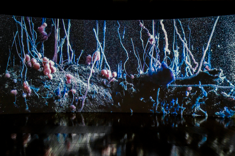 藝術家伊山．貝哈達的錄像裝置參展作品《預兆》（局部）。（攝影／林彥廷）