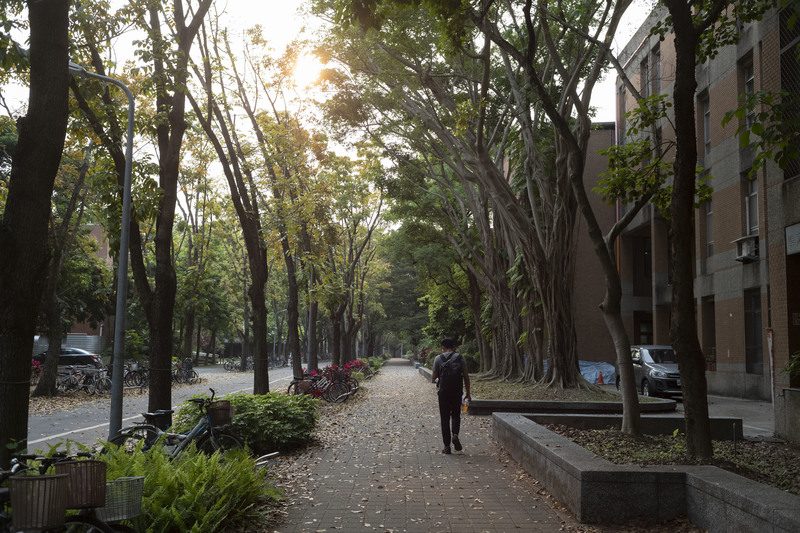 台大每年大學部新生共約3,500～3,700人，其中經繁星推薦錄取台大者約300多人。在新聞報導中，他們是各自高中優異的代表，但背著繁星的包袱，也許他們更「憂異」。（攝影／楊子磊）