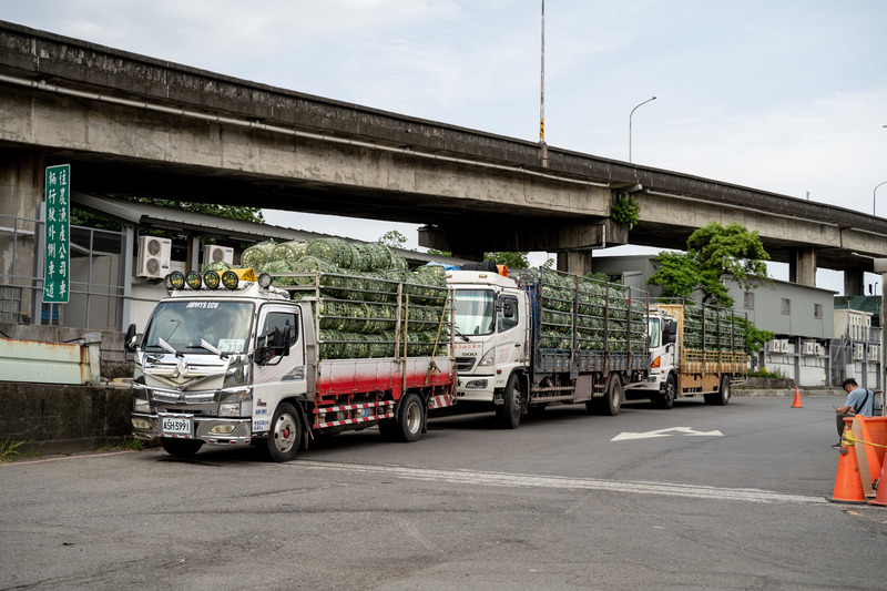 北農第一果菜市場大門外，載運農產的大卡車排列等候進場。（攝影／許𦱀倩）