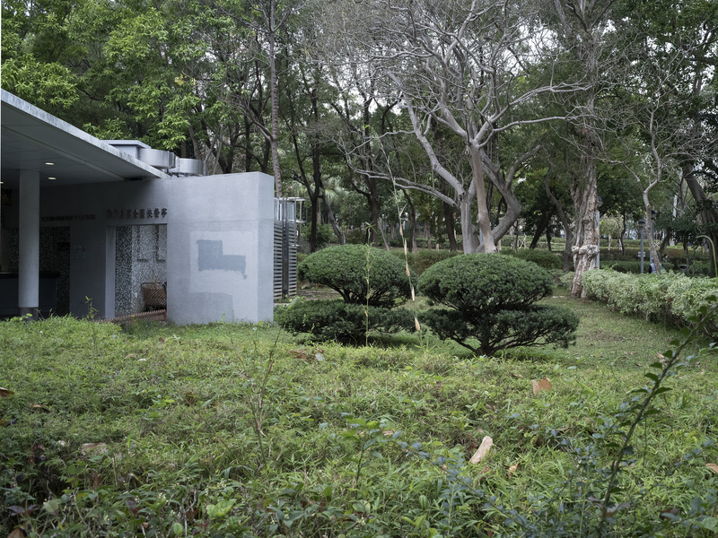 蔡慧敏、香港、慢性港傷