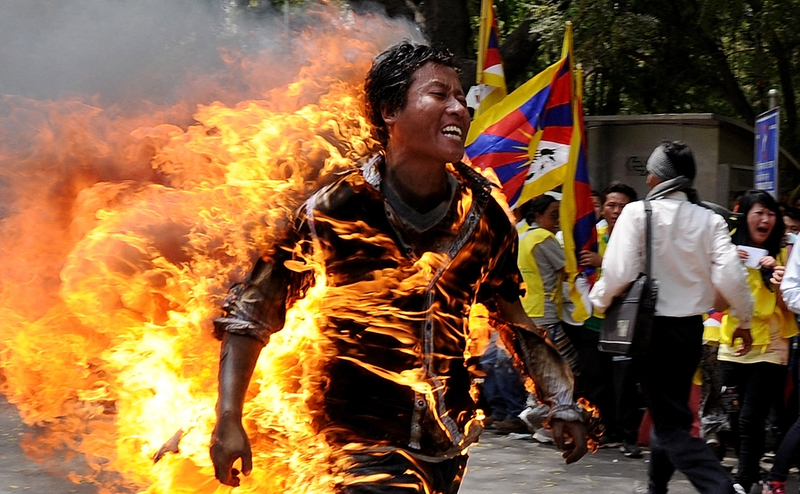 藏人為何自焚？從一座城市窺見西藏的劫難與求生