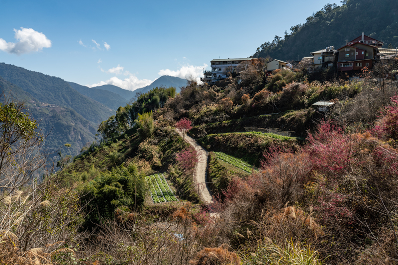 鎮西堡和斯馬庫斯（新光部落）風景明媚，也是泰雅族的重要據點和傳統領域。（攝影／陳曉威）