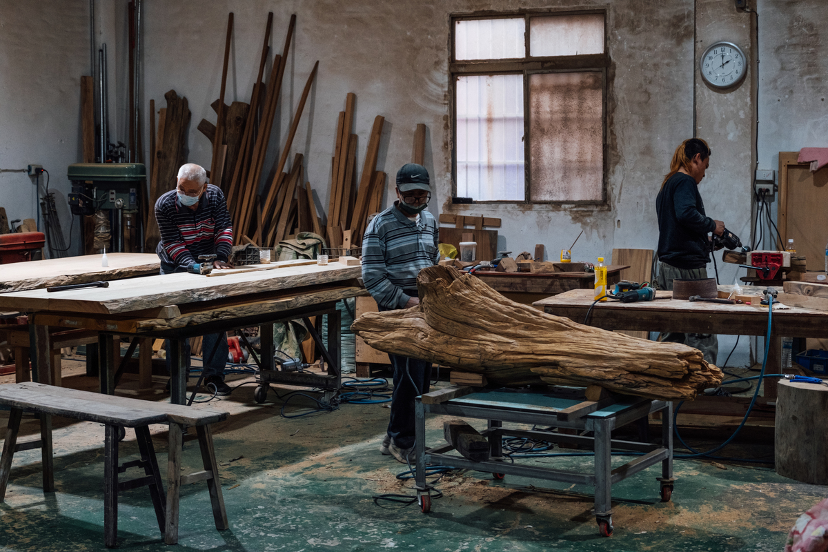 林務局睽違10年重啟標售貴重木 能否遏止盜伐 或反助長地下市場 報導者the Reporter
