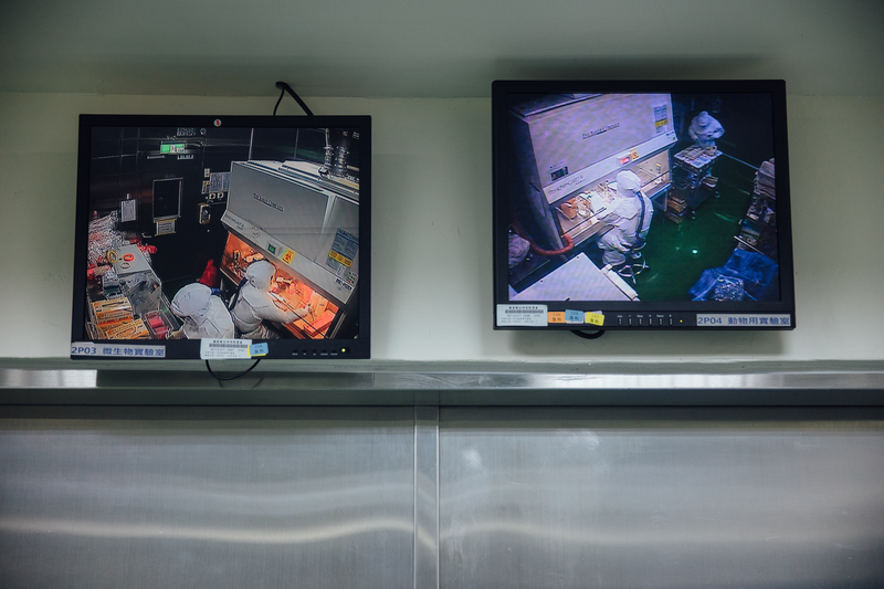 研究人員於P3實驗室運作中的監視螢幕（非當事研究機構）。（攝影／余志偉）