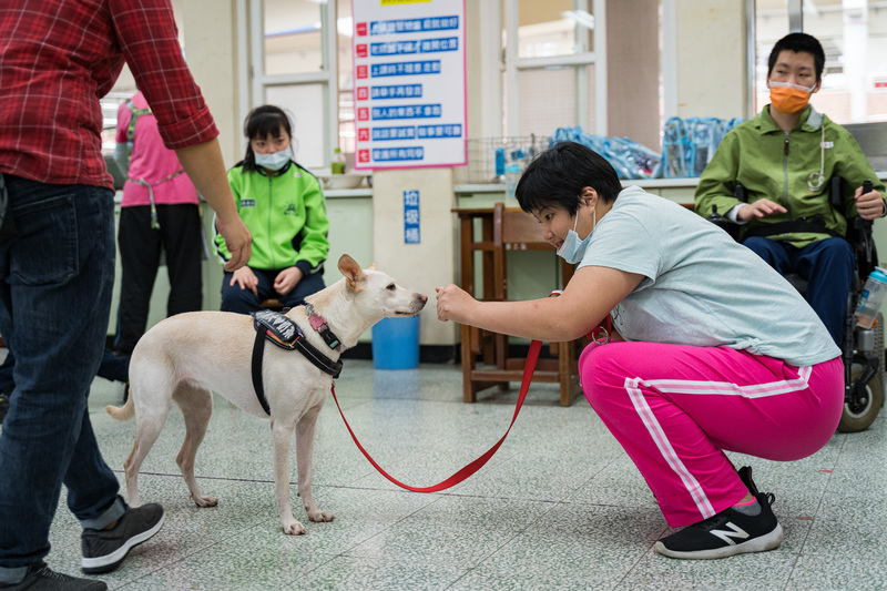 唐佐欣、生命、動物、輔助治療