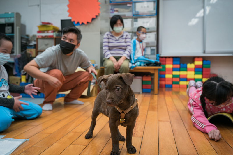 唐佐欣、生命、動物、輔助治療