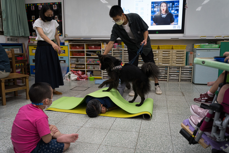 唐佐欣、生命、動物、輔助治療