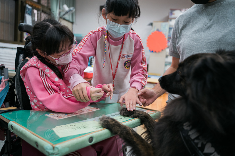 唐佐欣、生命、動物、輔助治療