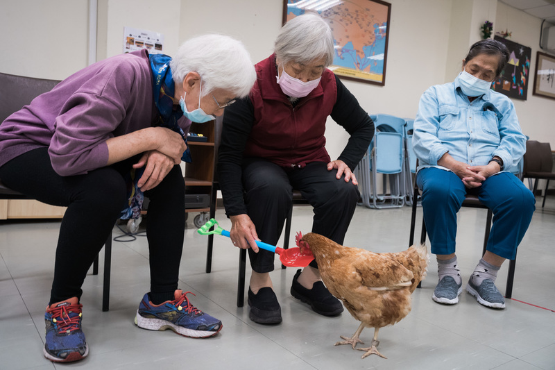 唐佐欣、生命、動物、輔助治療