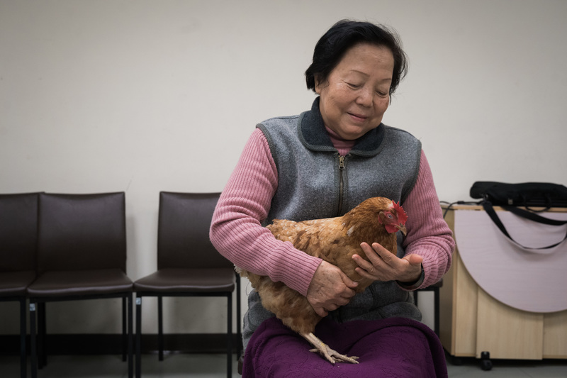 唐佐欣、生命、動物、輔助治療