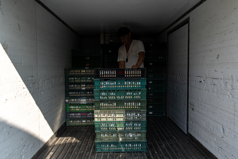「紅盤價」與「包銷制」──撐起台灣雞蛋產銷40年的老舊機器正待改革