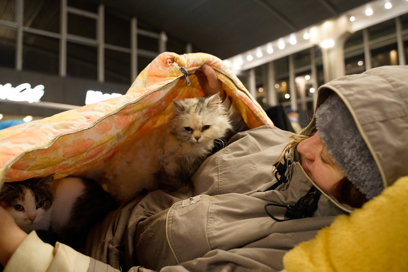 來自烏克蘭北部城市切爾尼戈夫的安（Ann），與她救出的小貓。（攝影／陳映妤）