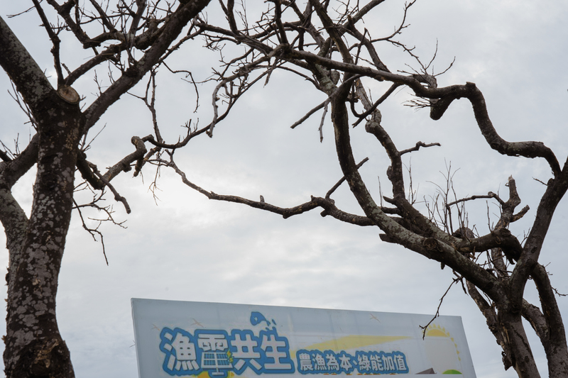 漁電共生的宣傳廣告就矗立在農地附近一隅。（攝影／馬雨辰）