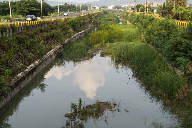 許𦱀倩、屏鵝公路、南方、在地傳真